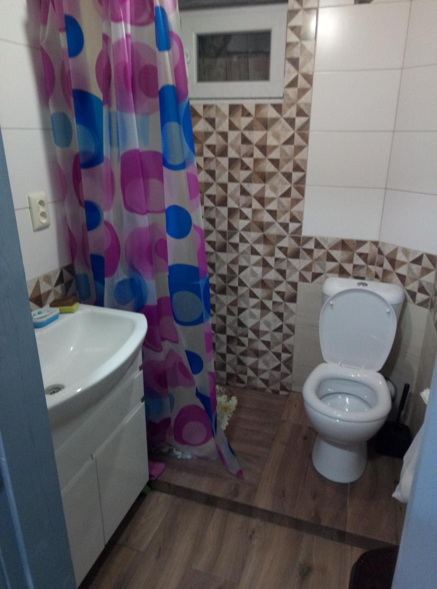 Appartement Sova à Lazeshchyna Chambre photo